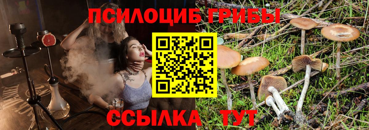 Галлюциногенные грибы мицелий  Вход с VPN  Лабинск 